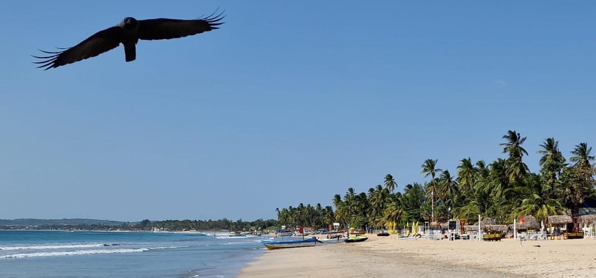 Lucky Beach Resort ตรินโคมาลี ภายนอก รูปภาพ